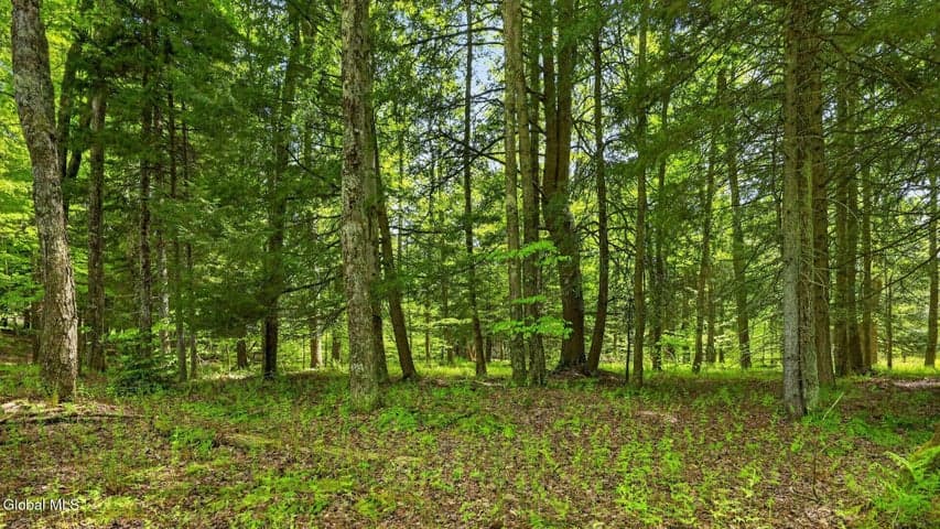 L1.6 Crystal Brook Path, Jefferson, NY, photo 1