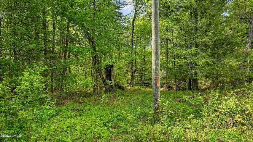 L1.6 Crystal Brook Path, Jefferson, NY, photo 5