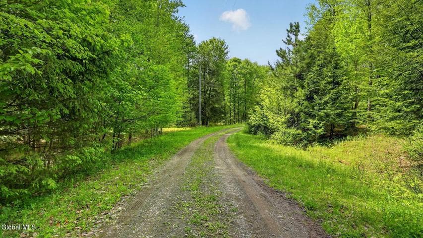 L1.6 Crystal Brook Path, Jefferson, NY, photo 3