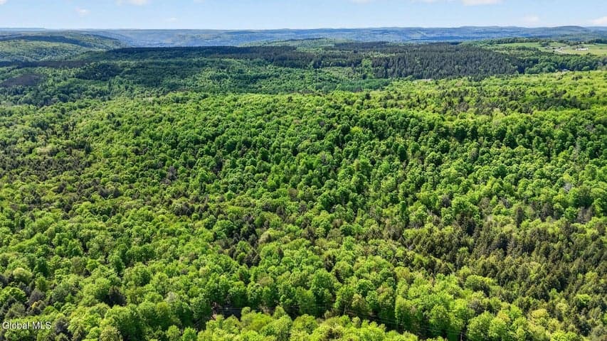 L1.6 Crystal Brook Path, Jefferson, NY, photo 4