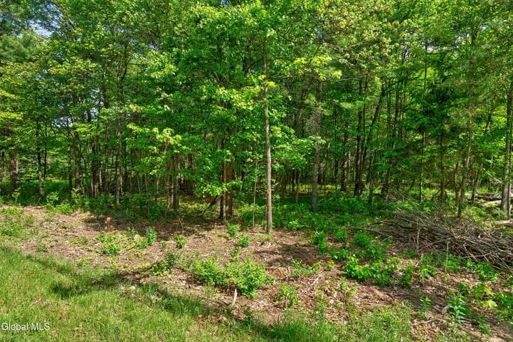 L1 27.11 Ruggles Road, Wilton, NY