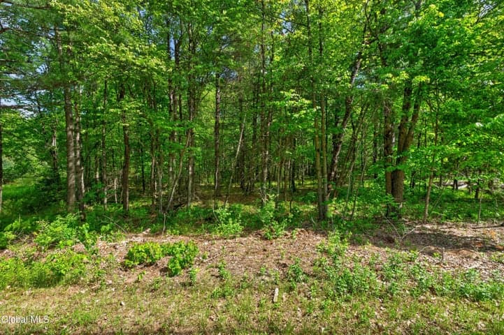 L1 27.11 Ruggles Road, Wilton, NY, photo 3