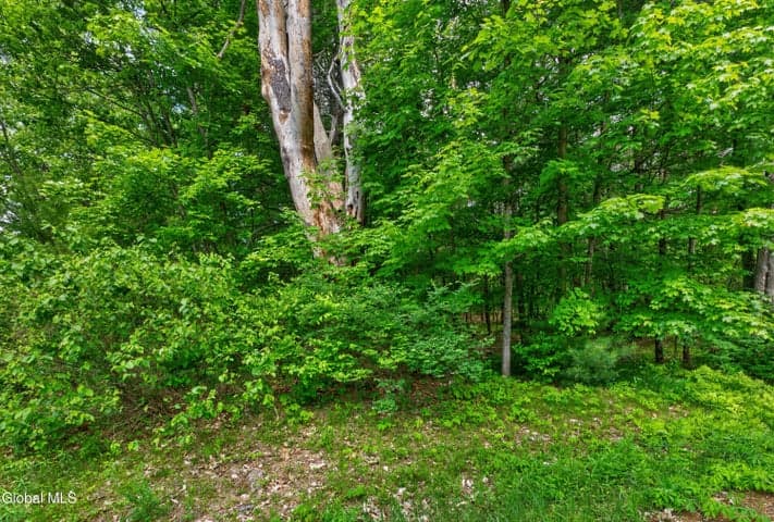 L1 27.11 Ruggles Road, Wilton, NY, photo 4
