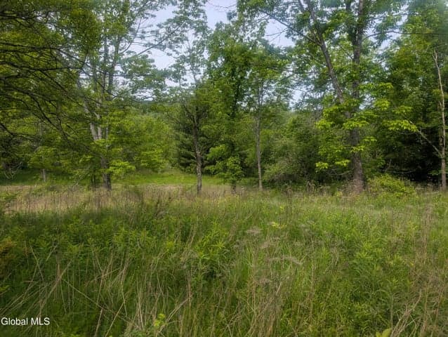 L.5 0 Hovey Avenue, Hoosick Falls, NY, photo 2