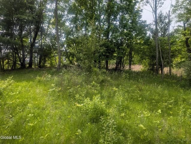 L.5 0 Hovey Avenue, Hoosick Falls, NY, photo 4