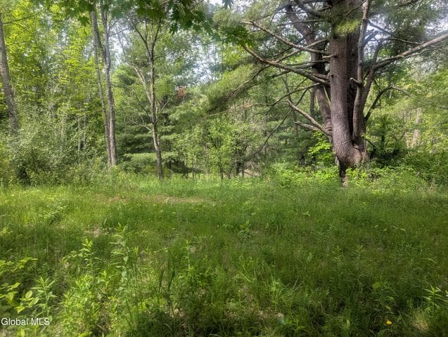 L.5 0 Hovey Avenue, Hoosick Falls, NY, photo 5