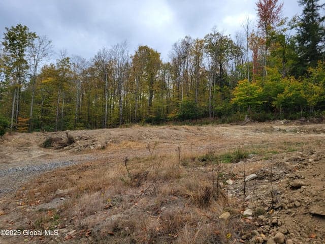 126 Rivers Edge Road, Esperance, NY