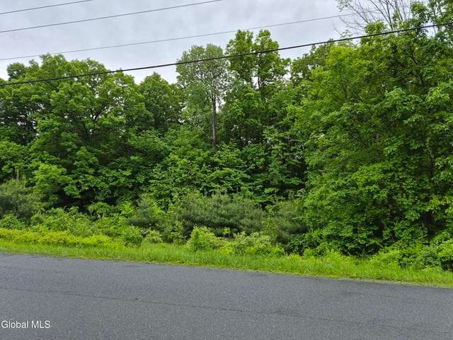 L1.2 Goodman Road, Fort Ann, NY, photo 4