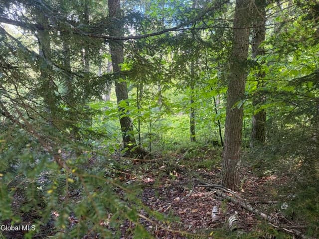 L46 Pinewood Rd North, Chester, NY, photo 2