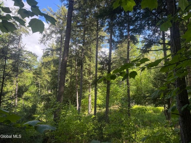 L46 Pinewood Rd North, Chester, NY, photo 3