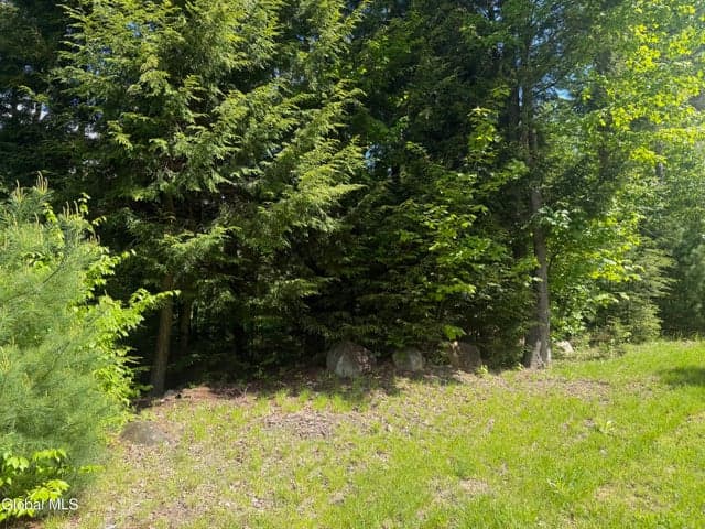 L46 Pinewood Rd North, Chester, NY, photo 4