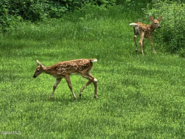 410 Middle Grove Road, Middle Grove, NY, photo 5