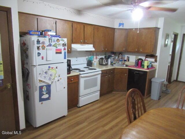 36 Maple Road, New Scotland, NY, photo 3