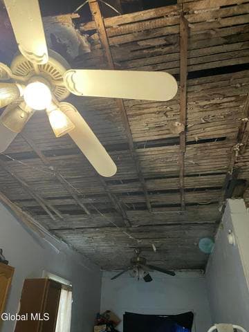 67 Walter Street, Albany, NY, photo 5