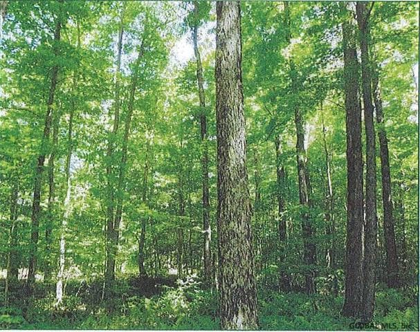 L1.12 COUNTY HIGHWAY 56 #Granshue Rd, Colton, NY, photo 2