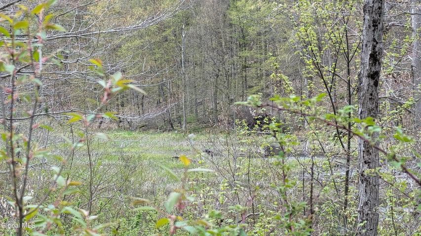 L1.12 COUNTY HIGHWAY 56 #Granshue Rd, Colton, NY