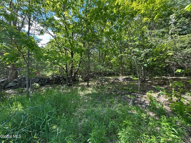 420 Tillboro Road, Ephratah, NY, photo 5