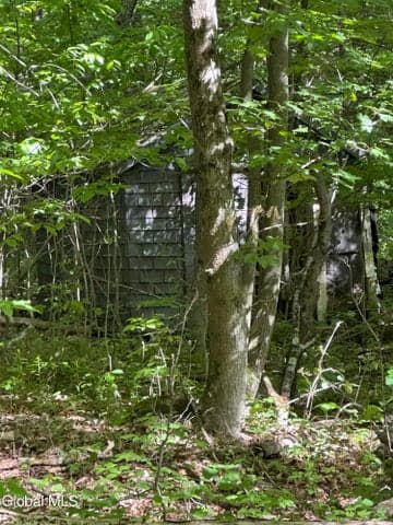 420 Tillboro Road, Ephratah, NY, photo 5