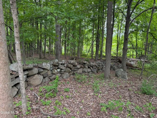 11342 State Route 32, Greenville, NY, photo 3