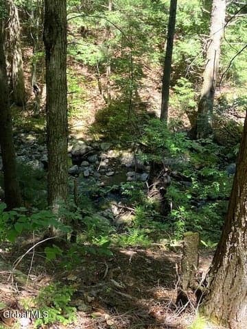 55 Fodder Road, Stony Creek, NY, photo 5