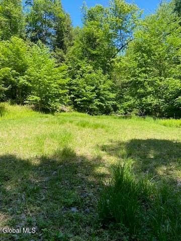 55 Fodder Road, Stony Creek, NY, photo 3