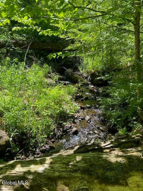 55 Fodder Road, Stony Creek, NY, photo 2