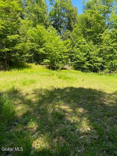 55 Fodder Road, Stony Creek, NY, photo 4