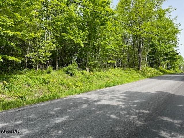 L9 Harrington, Gilboa, NY, photo 2