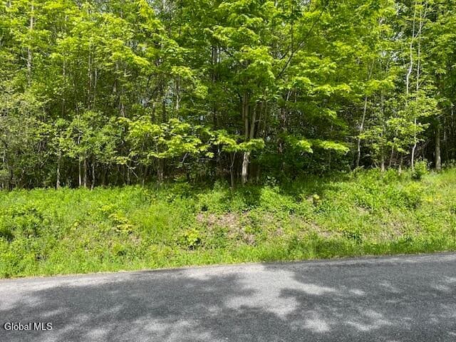 L9 Harrington, Gilboa, NY, photo 3