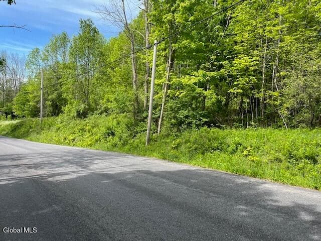 L9 Harrington, Gilboa, NY, photo 4