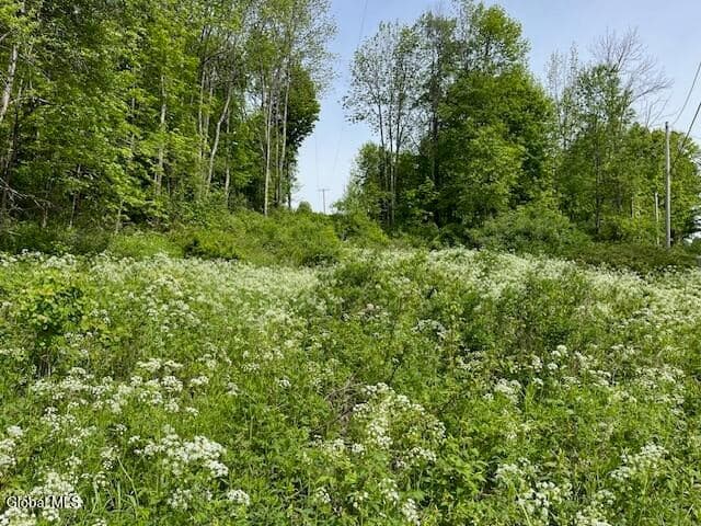 L9 Harrington, Gilboa, NY, photo 5