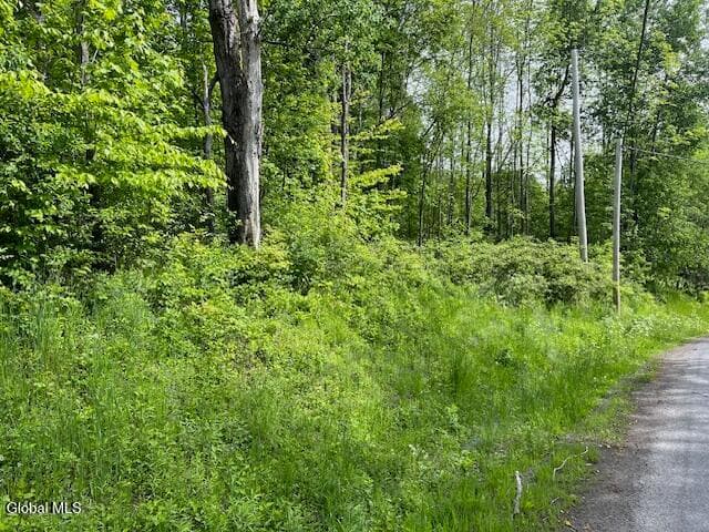 L9 Harrington, Gilboa, NY