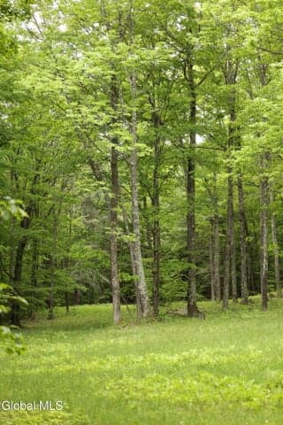 241 Minke Road, Cobleskill, NY, photo 4