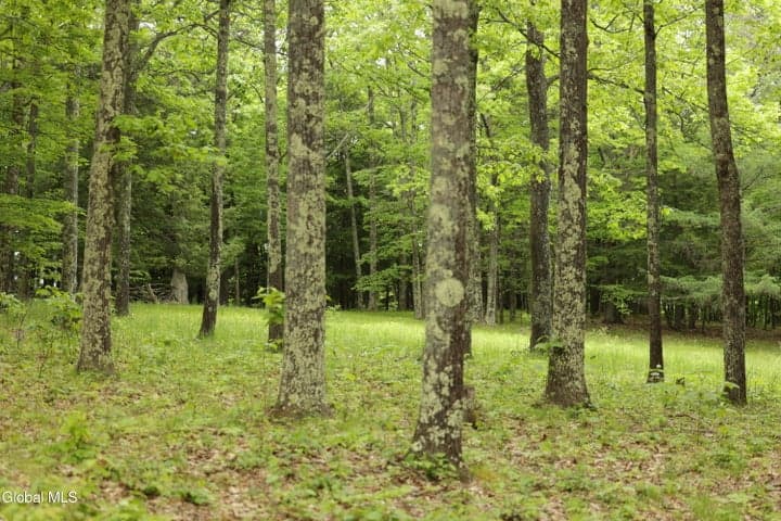 241 Minke Road, Cobleskill, NY, photo 5