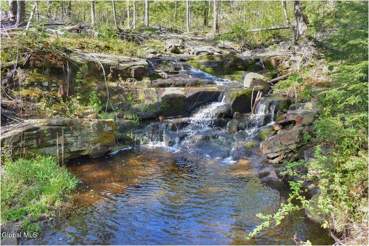 221 Don Potter Road, Thurman, NY, photo 4