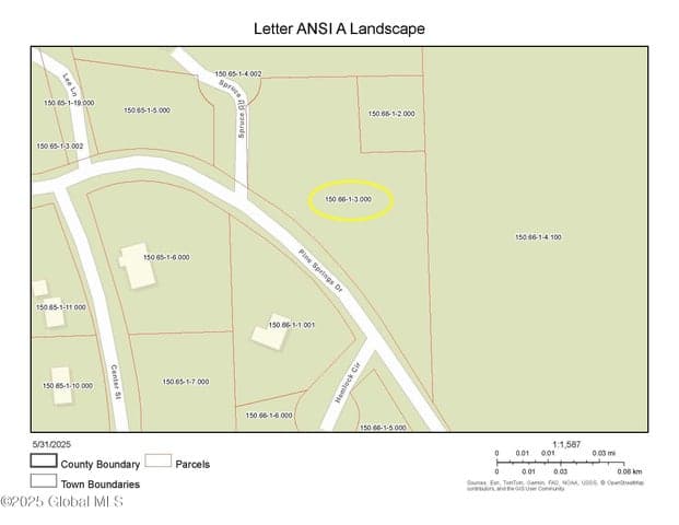 L3 Pine Springs Drive, Ticonderoga, NY, photo 2