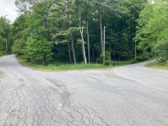 L3 Pine Springs Drive, Ticonderoga, NY, photo 3