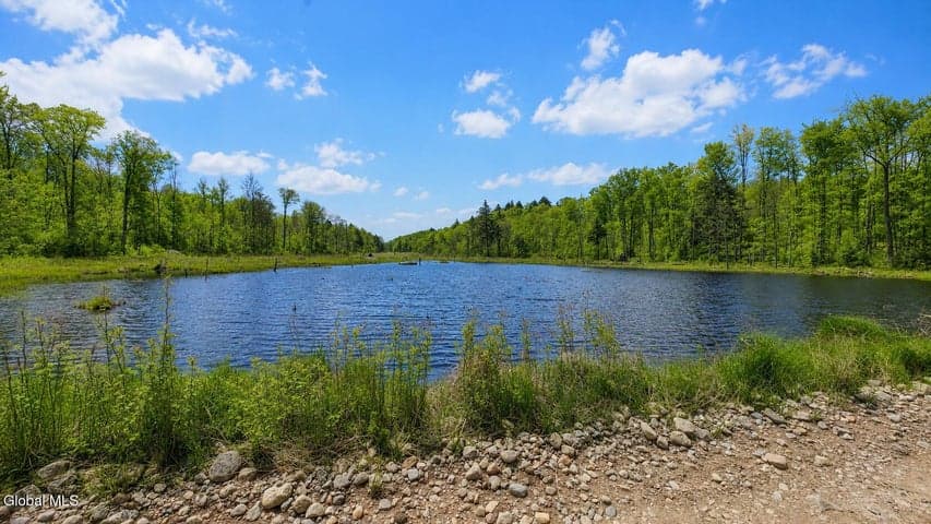 L1.12 COUNTY HIGHWAY 56 #Granshue Rd, Colton, NY, photo 3