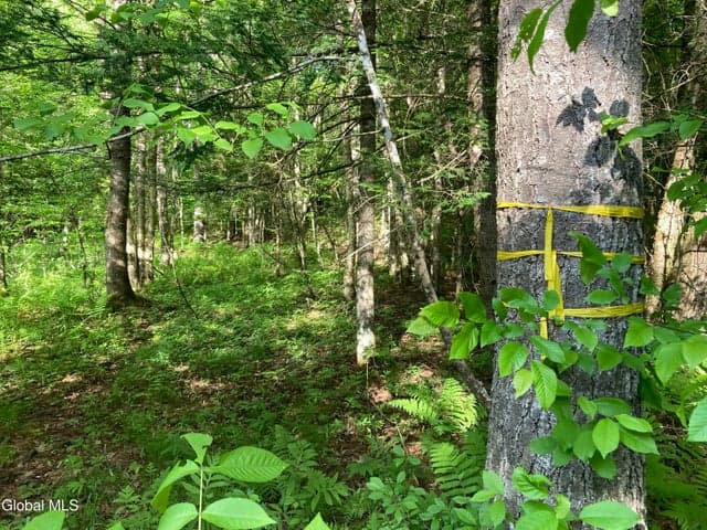 L3 Breed Hill Road, Crown Point, NY, photo 1