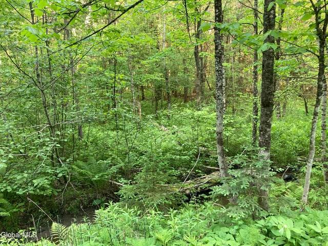 L3 Breed Hill Road, Crown Point, NY, photo 4