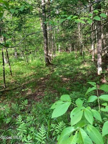 L3 Breed Hill Road, Crown Point, NY, photo 2