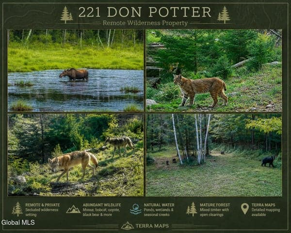 221 Don Potter Road, Thurman, NY, photo 2