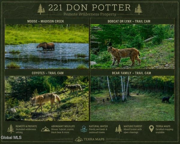 221 Don Potter Road, Thurman, NY, photo 2