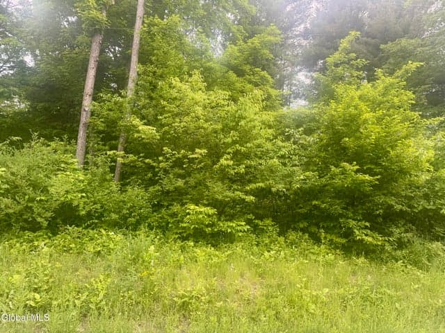 L2 Reynolds Road, Duanesburg, NY, photo 1