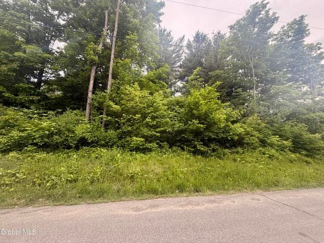 L2 Reynolds Road, Duanesburg, NY, photo 2