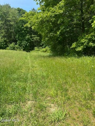 171 Orchard Road, Ghent, NY, photo 2