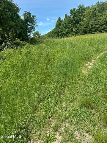 171 Orchard Road, Ghent, NY, photo 4