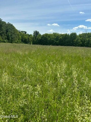 171 Orchard Road, Ghent, NY, photo 5