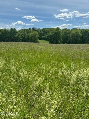 171 Orchard Road, Ghent, NY, photo 5