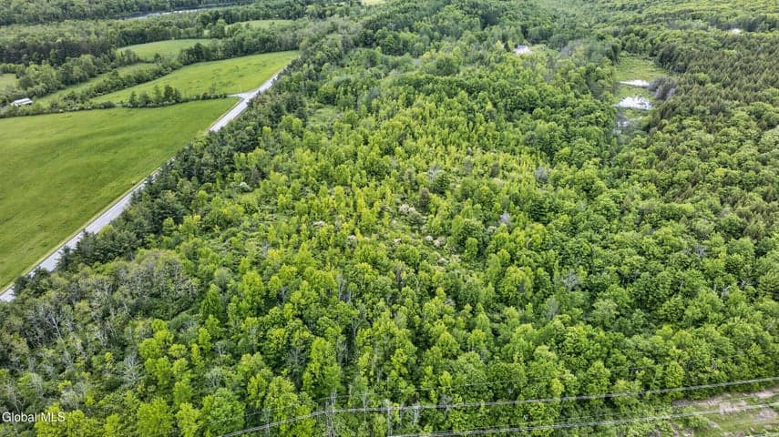 0 Joslyn School Road, Berne, NY, photo 3
